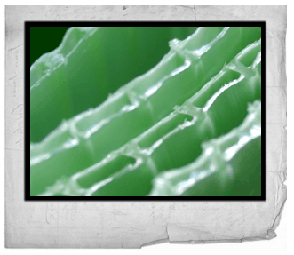 Tubos Protetores Para Plantas