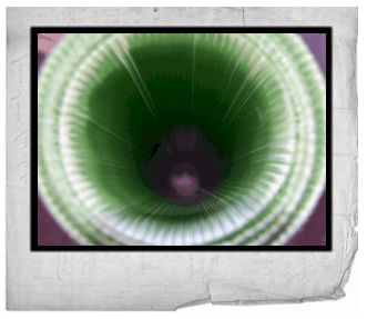 Tubos Protetores Para Plantas