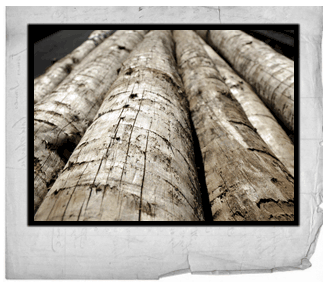 alemplas-postes-de-madeira