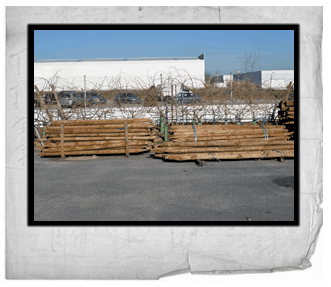 alemplas-postes-de-madeira