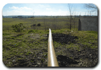 alemplás-exportamos